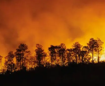 Governo do Estado lança Pacto Piauí Sem Queimadas para fortalecer a prevenção e combate aos incêndios florestais