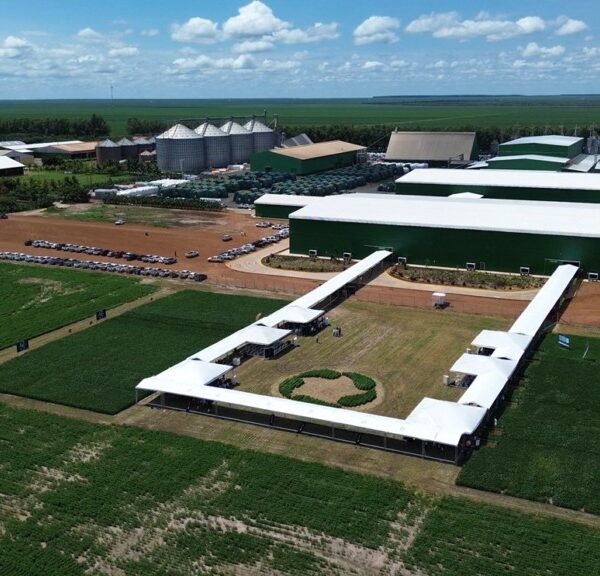 Com o apoio do Governo do Estado, Grupo Progresso se consolida como referência nacional do agronegócio no sul do Piauí