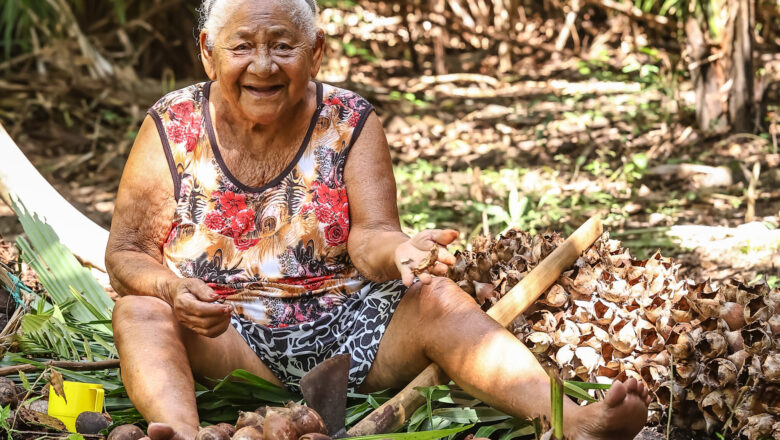 Patrimônio vivo das quebradeiras de coco do Piauí, Chica Lera é homenageada na III Feira da Agricultura Familiar