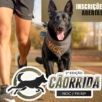 SSP abre inscrições para a 2ª Cãorrida; evento será realizado no dia 12 de julho em Teresina