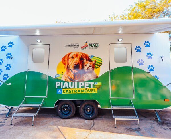 Governo lança Pacto pelos Animais e fortalece políticas de bem-estar animal sob coordenação da Semarh nesta terça (16)