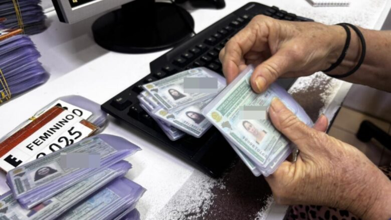 Piauí emitiu mais de 12 mil CNHs para novos condutores no 1º semestre de 2026