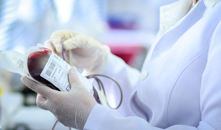 Junho Vermelho: uma doação de sangue pode ajudar até quatro pessoas