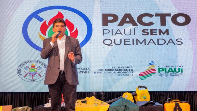 Pacto Piauí Sem Queimadas prevê brigadas em 212 cidades para combater incêndios