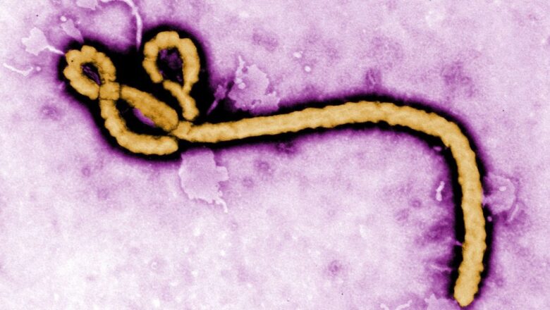 São Paulo descarta segundo caso suspeito de Ebola