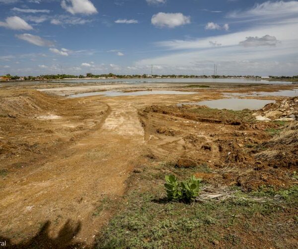 El Niño forte pode agravar estiagem e aumentar calor no Piauí, aponta painel