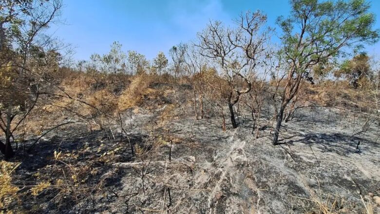 PI tem 164 cidades sob alerta de umidade; incêndio no Sul avança há 18 dias