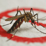 Possível retorno do El Niño acende alerta para aumento dos casos de dengue no Brasil