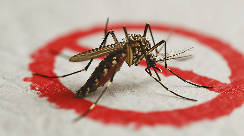 Possível retorno do El Niño acende alerta para aumento dos casos de dengue no Brasil