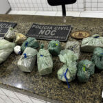 Operação contra o tráfico prende quatro em Parnaíba; drone flagra suspeito descartando maconha