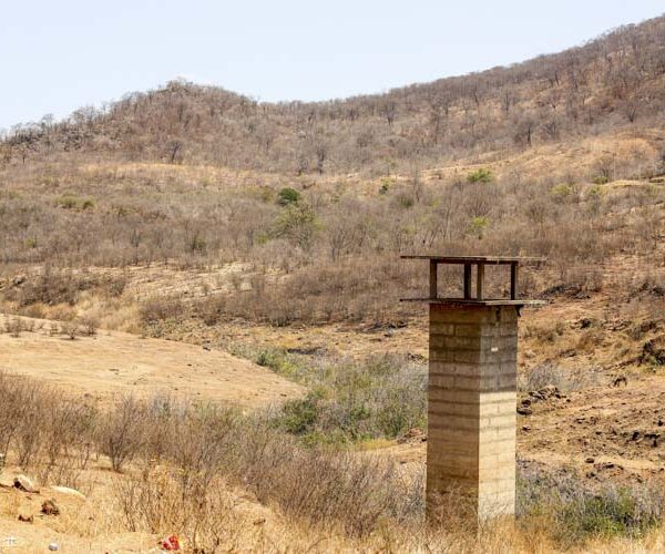 Piauí decreta situação de emergência em 117 municípios devido à seca; veja lista