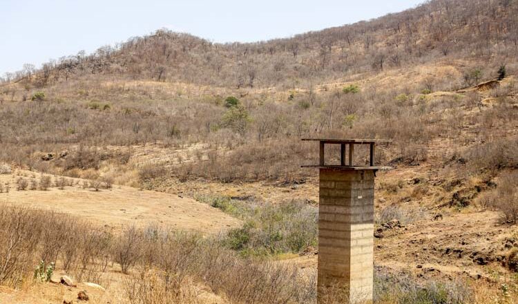 Piauí decreta situação de emergência em 117 municípios devido à seca; veja lista