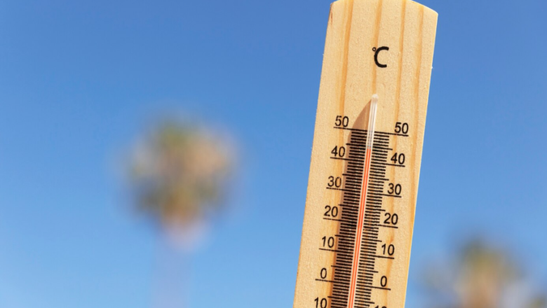 Piauí vive ‘efeito deserto’ com variação de 20°C e alertas de seca e vendaval