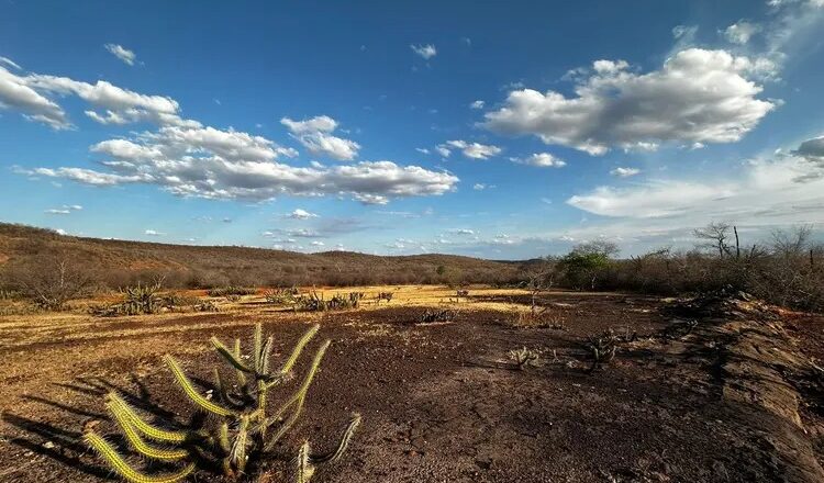 Mais três cidades do Piauí entram em emergência por seca e estiagem