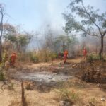 Corpo de Bombeiros combate incêndio em vegetação em Valença do Piauí
