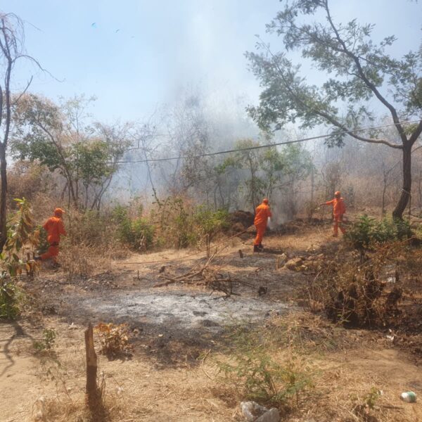 Corpo de Bombeiros combate incêndio em vegetação em Valença do Piauí