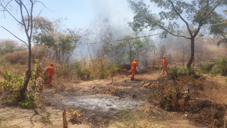 Corpo de Bombeiros combate incêndio em vegetação em Valença do Piauí