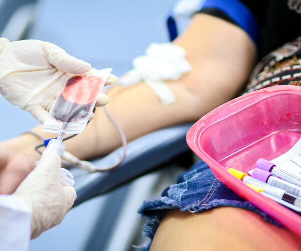Veja como agendar doação de sangue no Hemopi pela internet