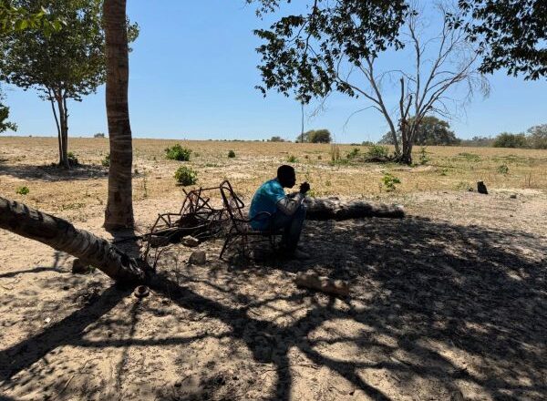 Operação resgata 40 trabalhadores em condições análogas à escravidão no Piauí