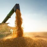 Exportações do Piauí crescem e chegam a US$ 199 milhões em agosto