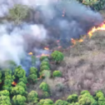 Piauí tem 350 focos de incêndio em 48 horas; bombeiros apontam pico da crise