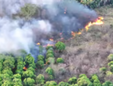 Piauí tem 350 focos de incêndio em 48 horas; bombeiros apontam pico da crise
