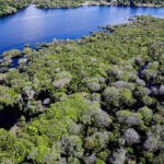 Desmatamento em áreas protegidas da Amazônia e do Cerrado tem queda