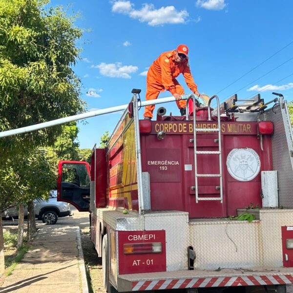 Incêndio de grandes proporções atinge Embrapa e assusta moradores em Teresina