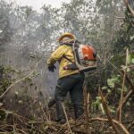 Quatro ministros desembarcam em Manaus para reforçar combate a incêndios