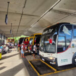 Piauí amplia gratuidade de ônibus para eleitores no 2º turno; veja o que mudou